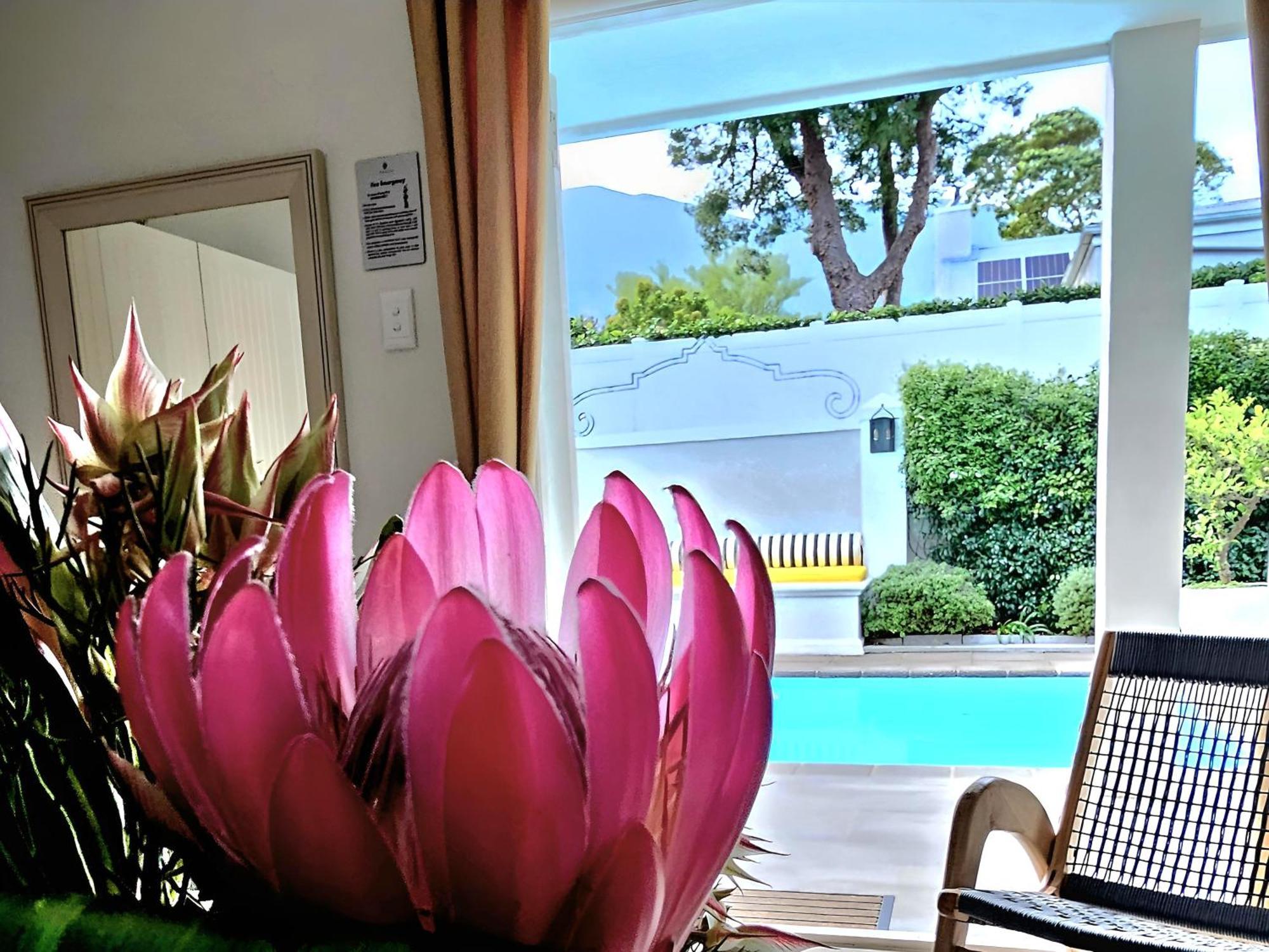 Fleur Du Soleil Luxury Guesthouse فرانستشوك المظهر الخارجي الصورة